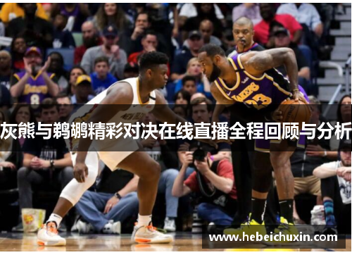 灰熊与鹈鹕精彩对决在线直播全程回顾与分析 灰熊与鹈鹕精彩对决在线直播全程回顾与分析